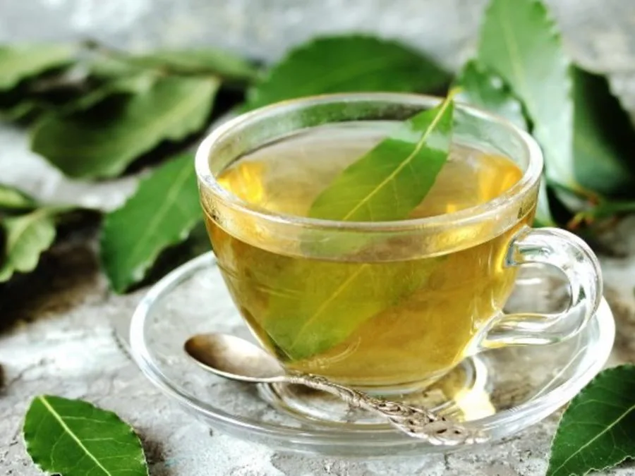 Cómo preparar té de laurel para aliviar la tos y eliminar las flemas de forma natural