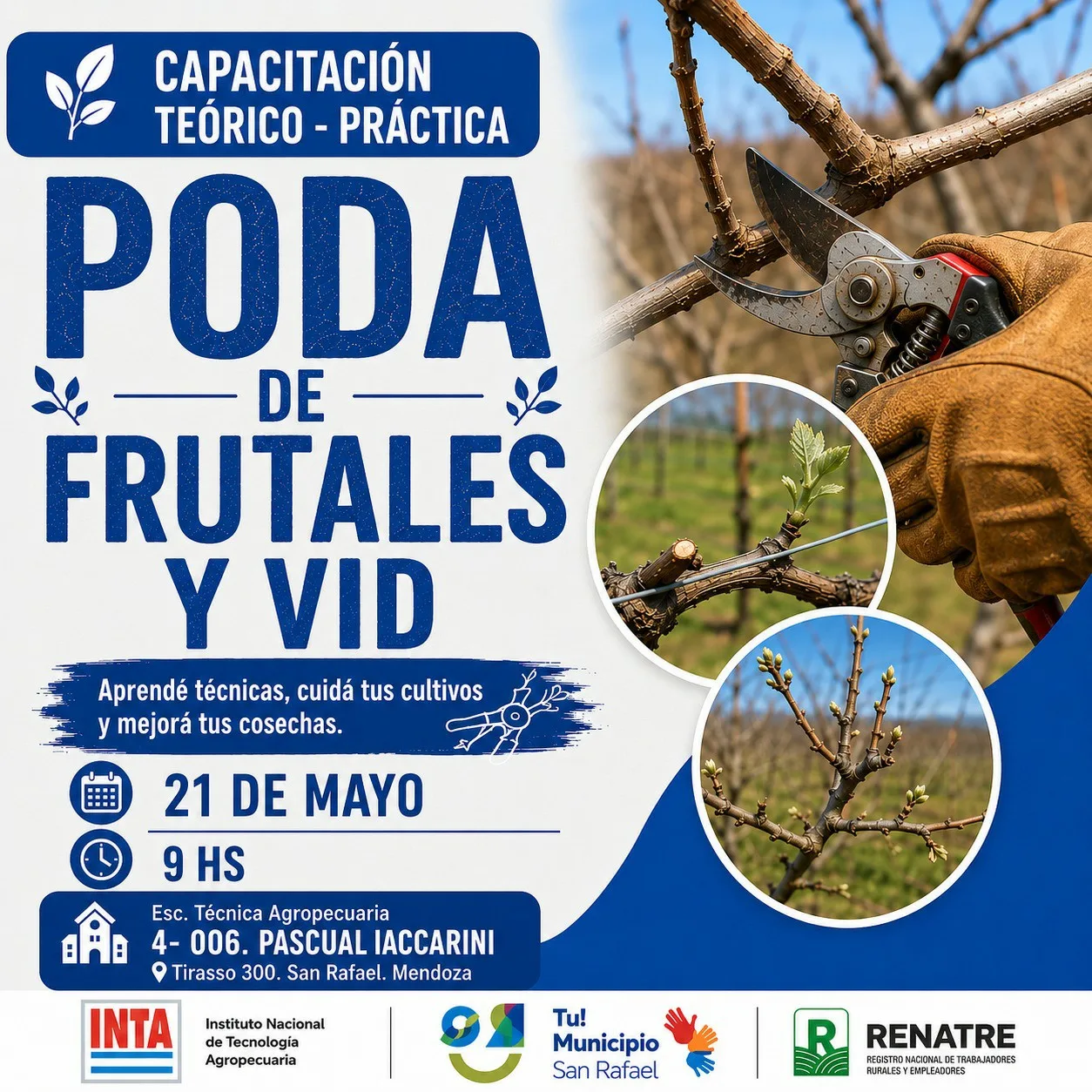 INTA inicia capacitaciones gratuitas sobre poda de frutales y vid en escuelas agrotécnicas de San Rafael