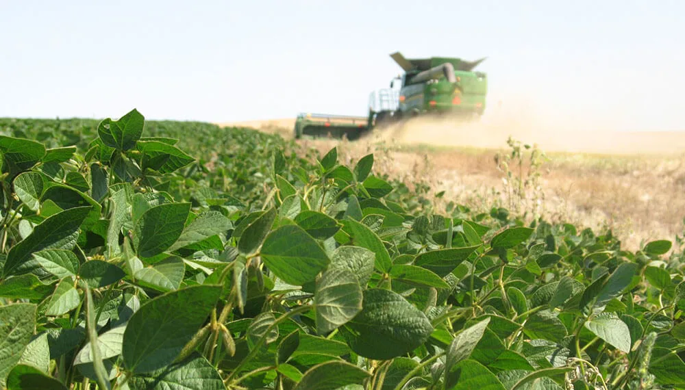 La baja de retenciones al agro podrá inyectar hasta 200 millones de dólares a Córdoba