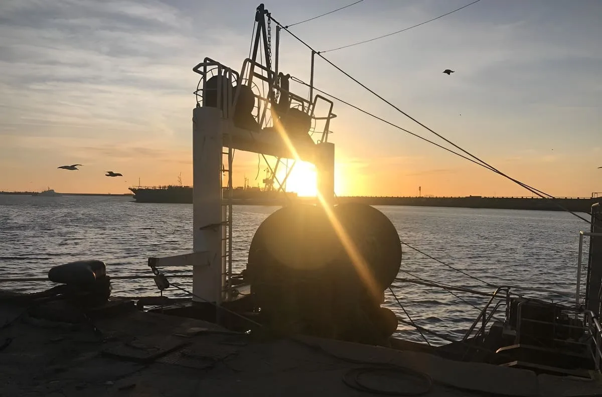 La experiencia de Mar del Plata en desarrollo puerto-ciudad será destacada por la FAO
