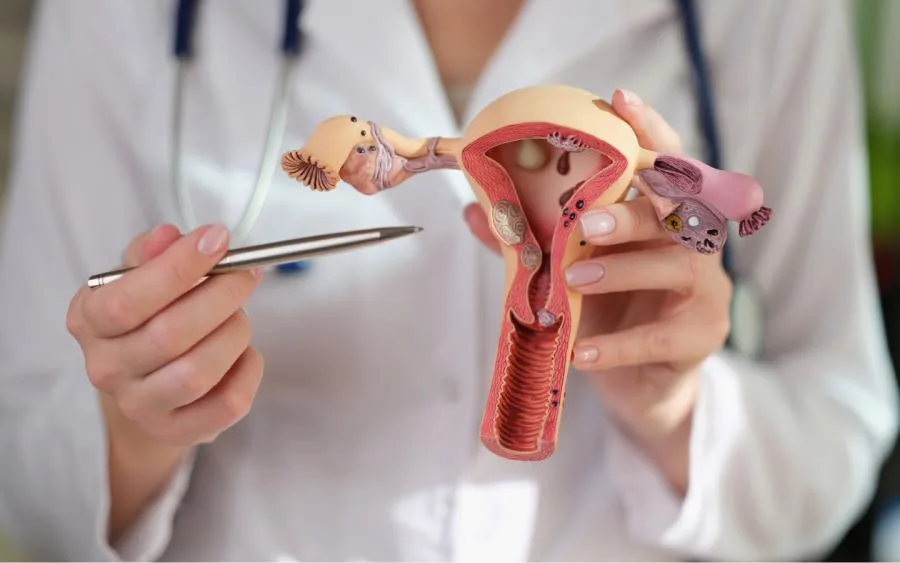 Señales clave para saber cuándo visitar al ginecólogo y cuidar la salud femenina
