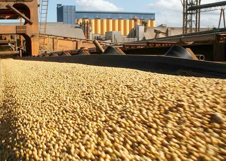 El salto exportador argentino: productos y destinos que impulsaron un récord histórico