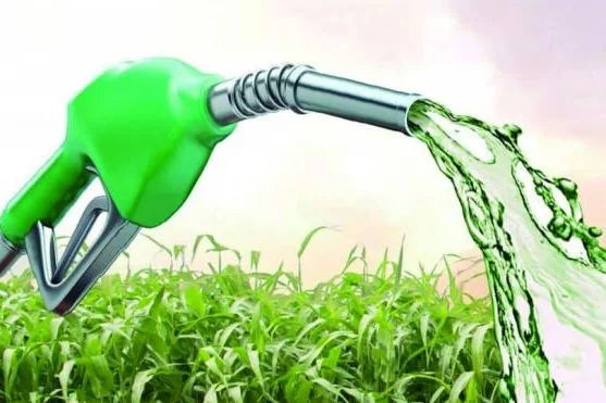 La Secretaría de Energía establece nuevos precios para biocombustibles en junio