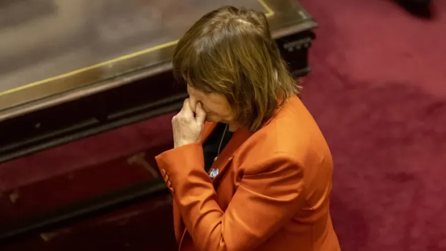Tensión en el Senado por falta de claridad y leyes conflictivas en el oficialismo y sus aliados