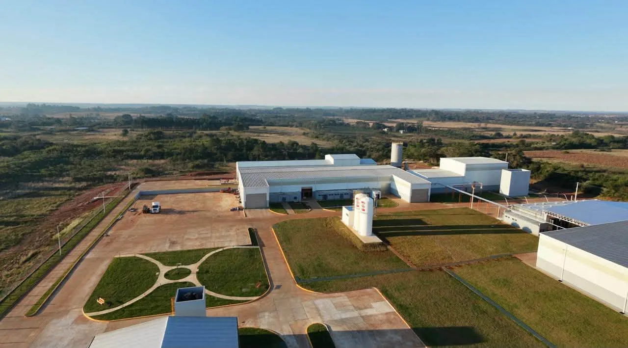 Avanza en Corrientes la construcción del complejo maderero de Zozzoli SA con tecnología de punta