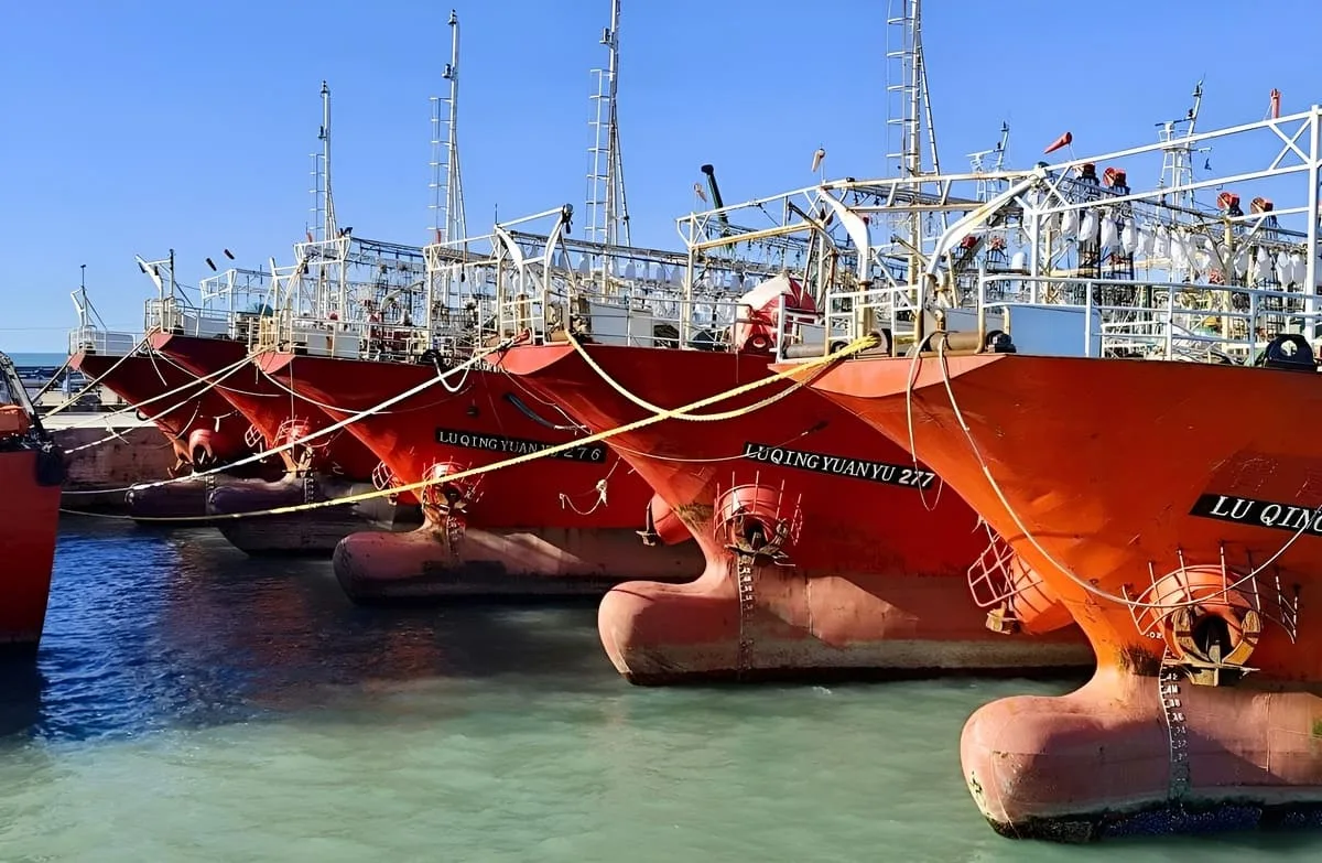 Producción pesquera en Argentina cayó en mayo por cierre anticipado de la zafra de calamar