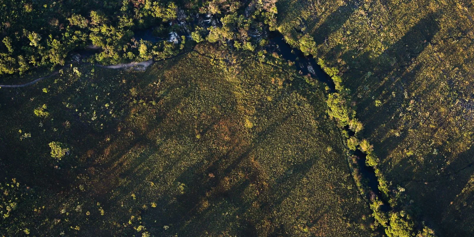 Tasas de interés preferenciales para proyectos rurales sostenibles en fondos constitucionales